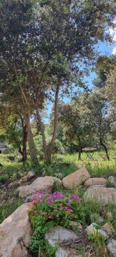 Aparthotel Les Bois De Zola Entre Provence Et Luberon Saint-Esteve-Janson Esterno foto