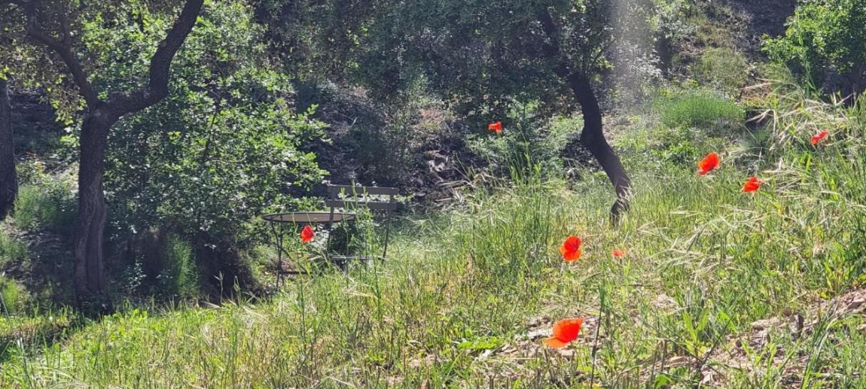 Aparthotel Les Bois De Zola Entre Provence Et Luberon Saint-Esteve-Janson Esterno foto