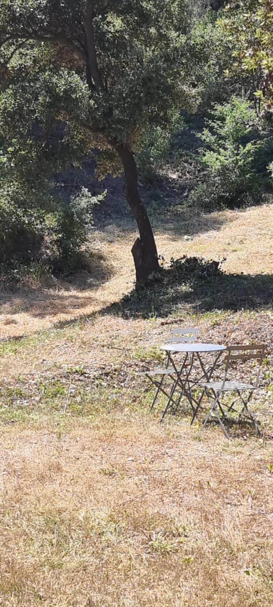 Aparthotel Les Bois De Zola Entre Provence Et Luberon Saint-Esteve-Janson Esterno foto